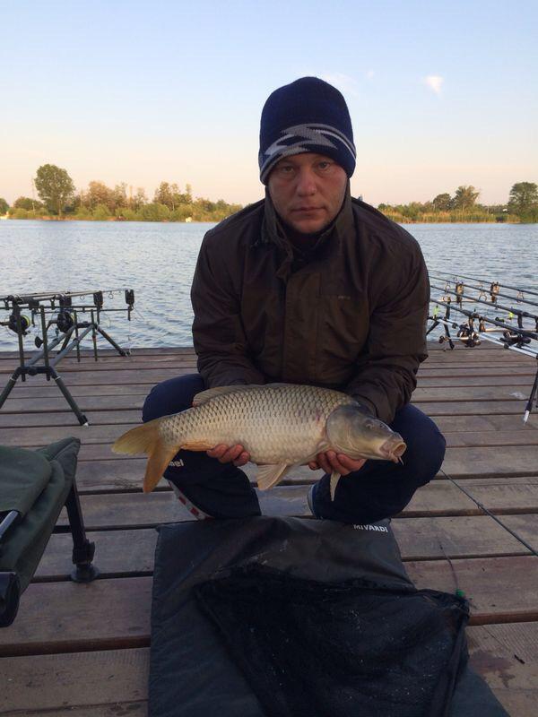 De pe balta adunate - image1111111111111111111.jpg